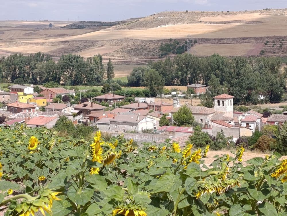 Cayuela