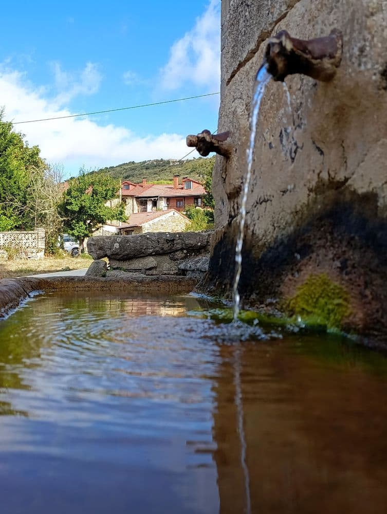 Fuente de Campino