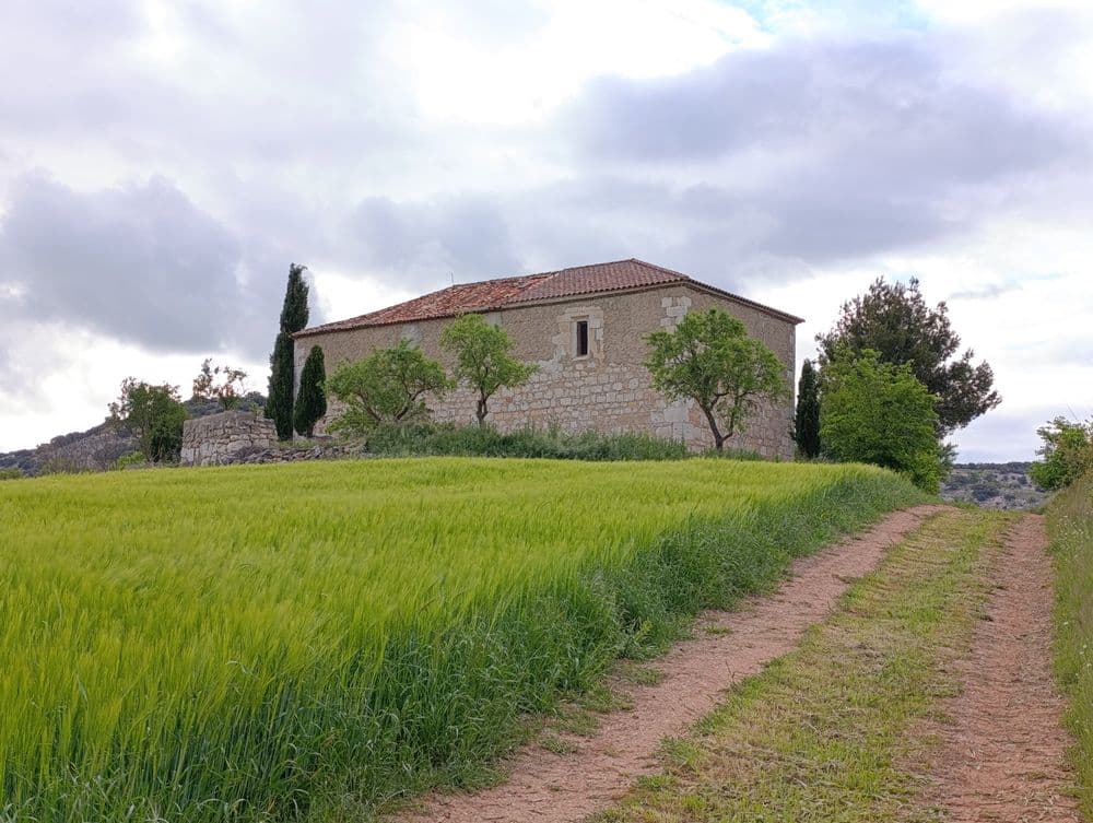 Tórtoles de Esgueva