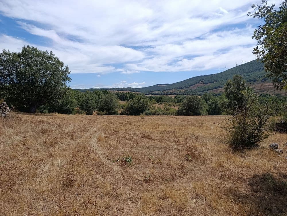 Tenadas de Villamiel de la Sierra
