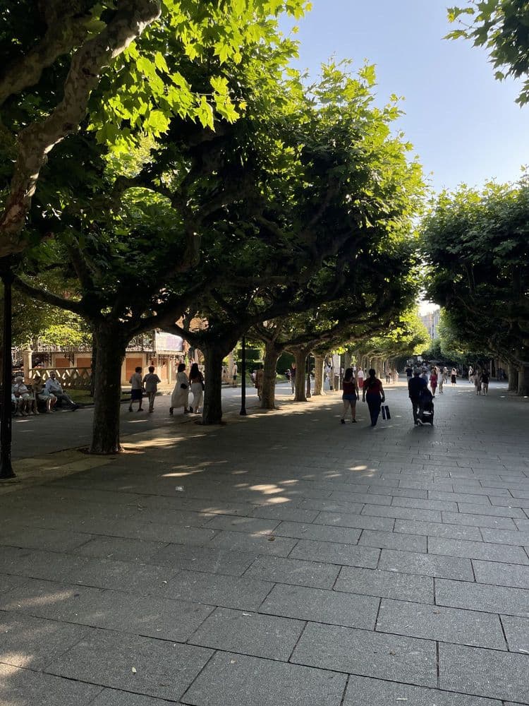 Paseo del Espolón y del Espoloncillo