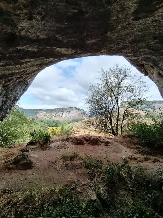 Galeria