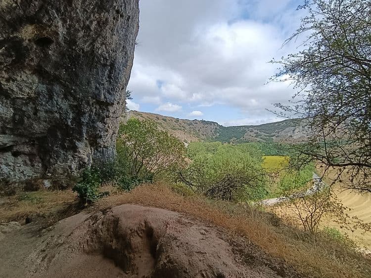 Galeria