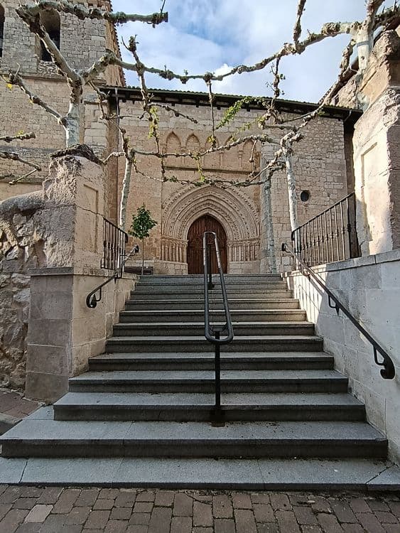 Galeria