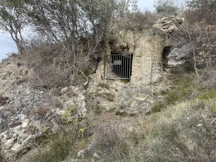 Galeria