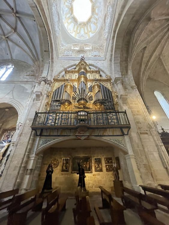 Galeria