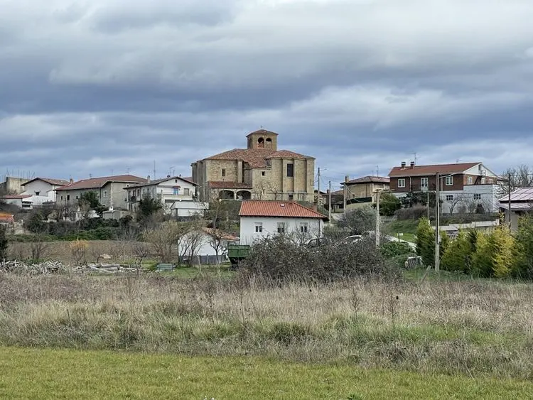 Moneo