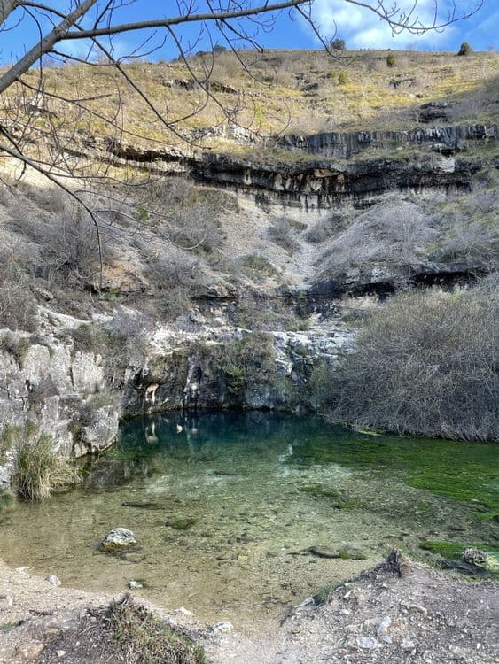 Galeria