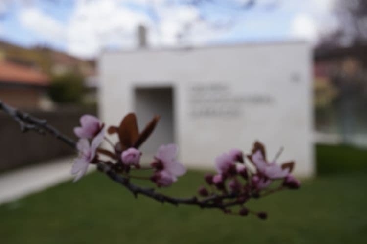 Galeria