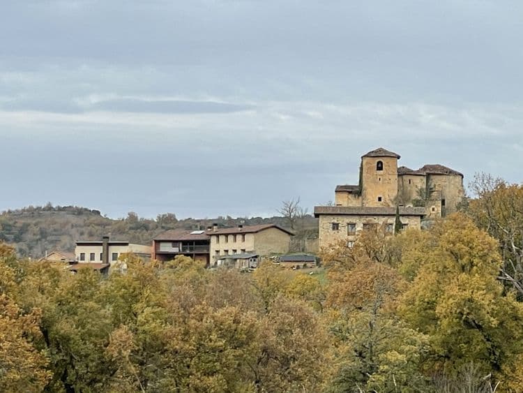 Sáseta