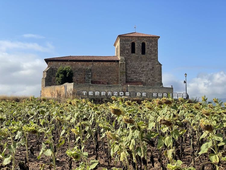 Terrazos de Bureba