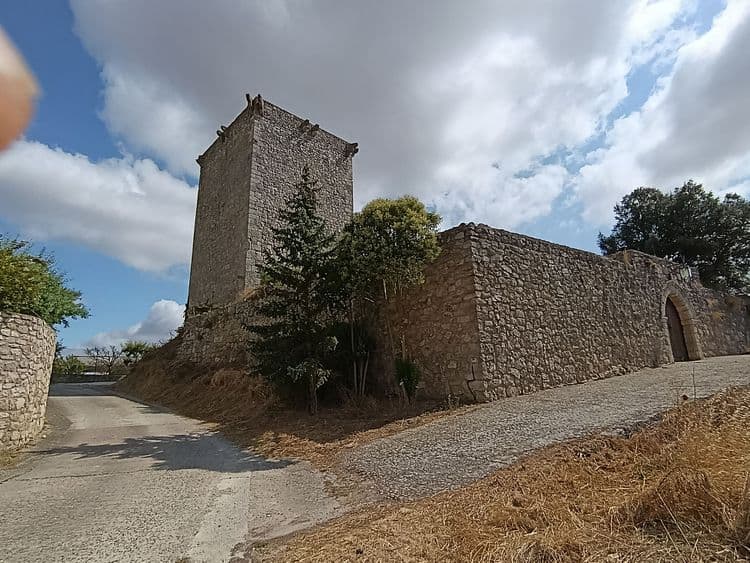 Galeria
