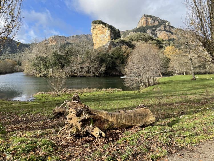 Tudanca de Ebro