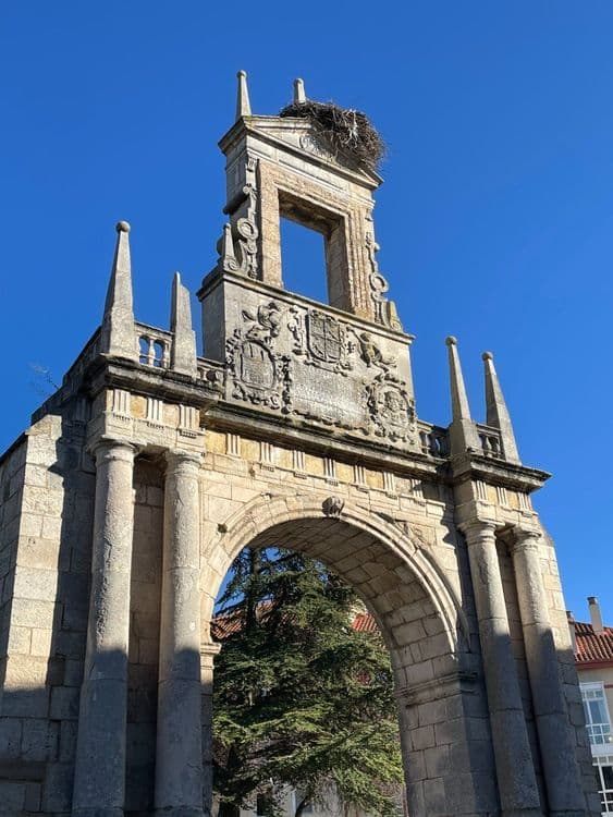 Galeria