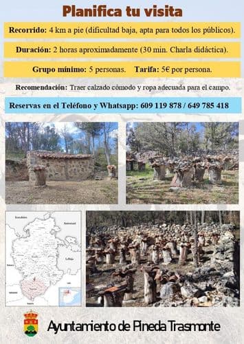 Colmenares Tradicionales de Pineda Trasmonte: Un Viaje a la Apicultura Ancestral