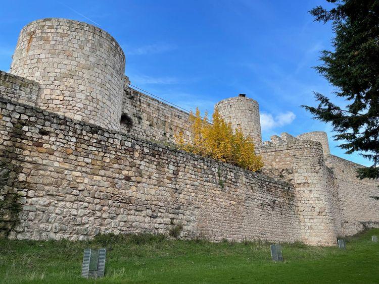 Castillo de Burgos