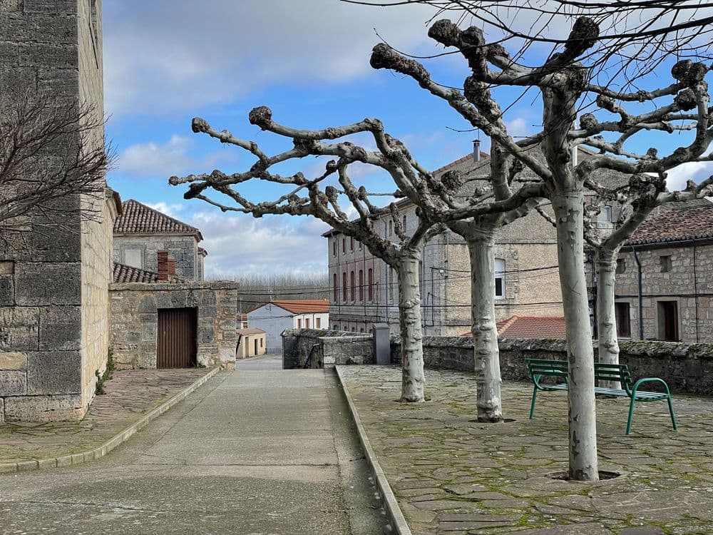 Centro La Milagrosa