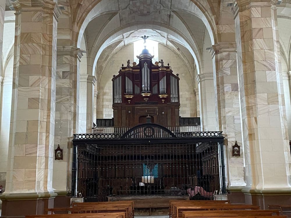 Excolegiata de Santa María la Mayor