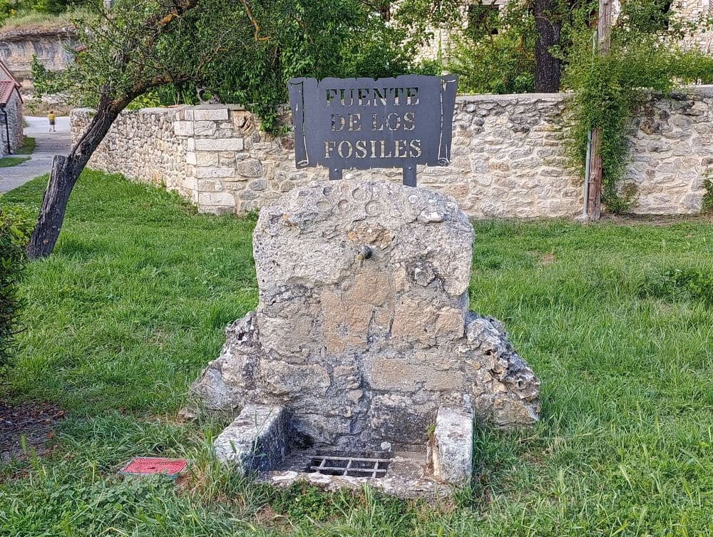Fuente de los Fósiles