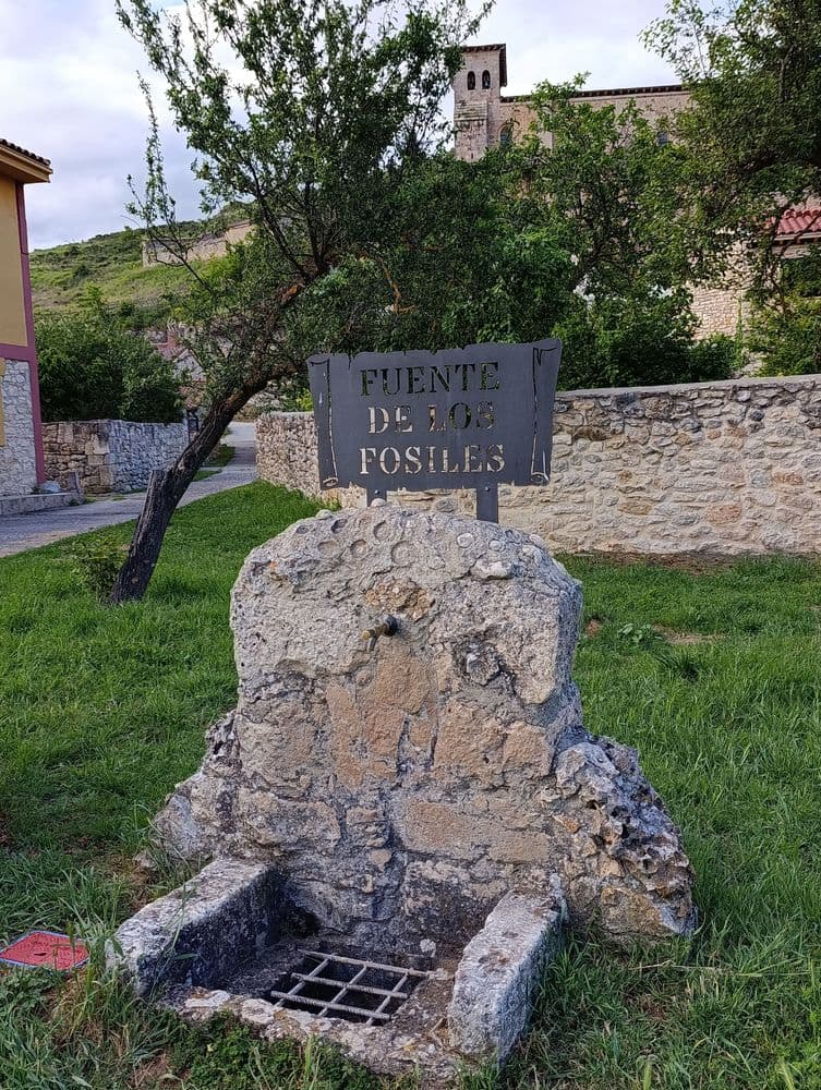 Fuente de los Fósiles