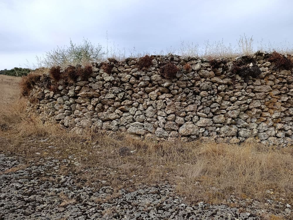 Las Eras de Ahedo del Butrón