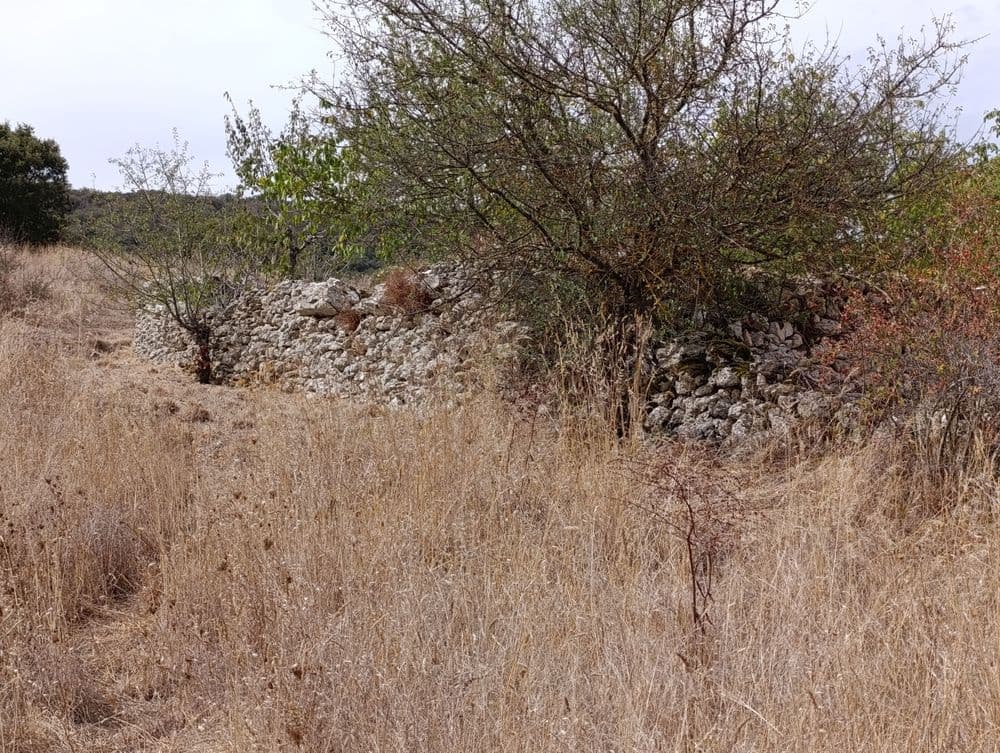 Las Eras de Ahedo del Butrón