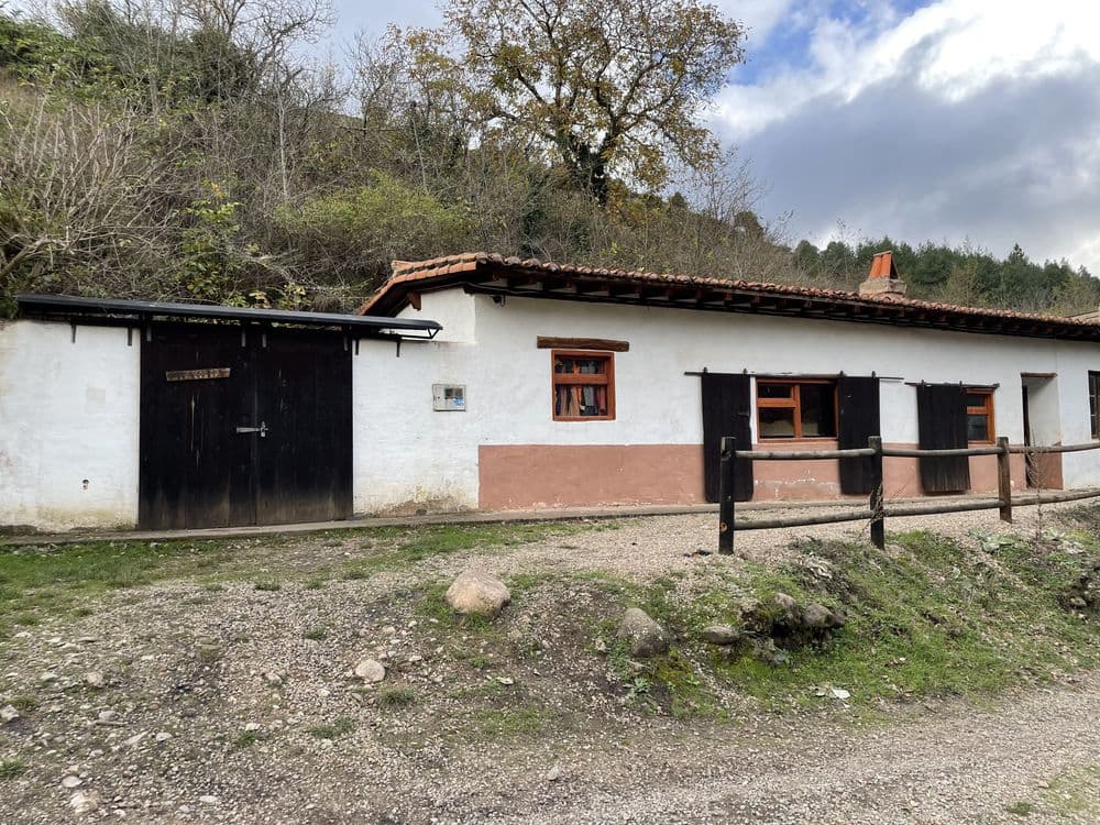 Mina La Pura