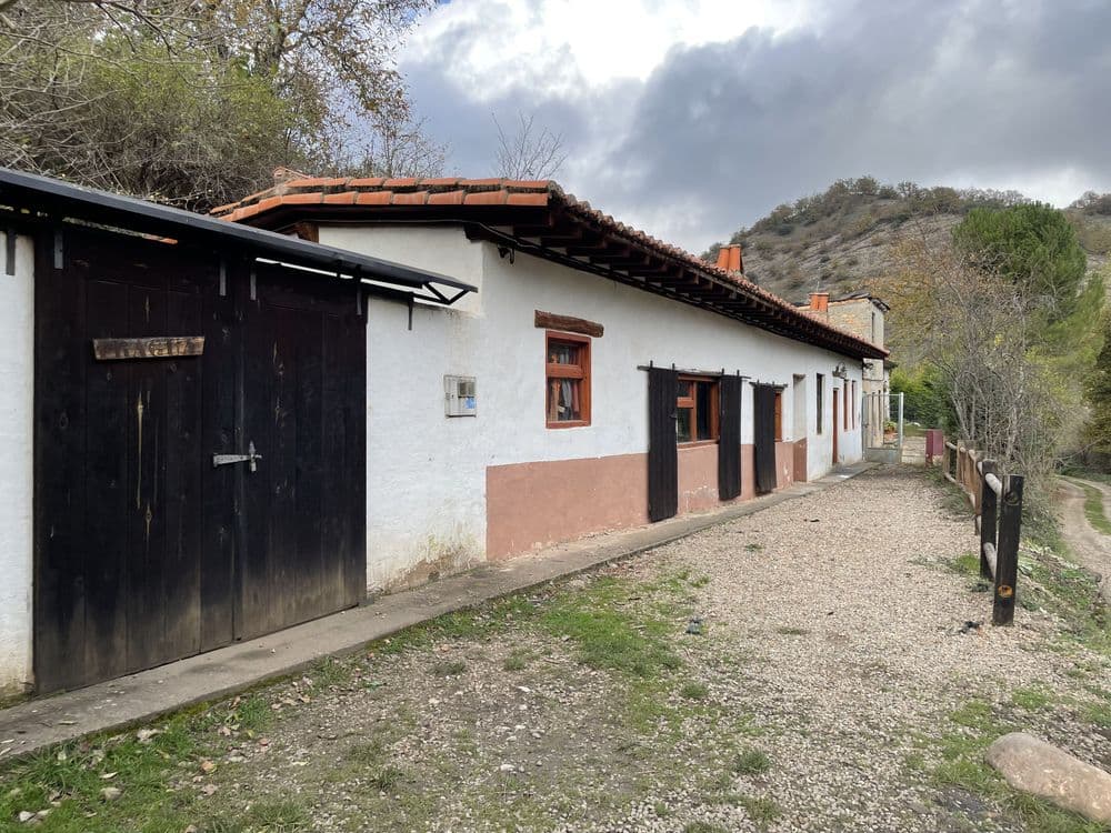 Mina La Pura