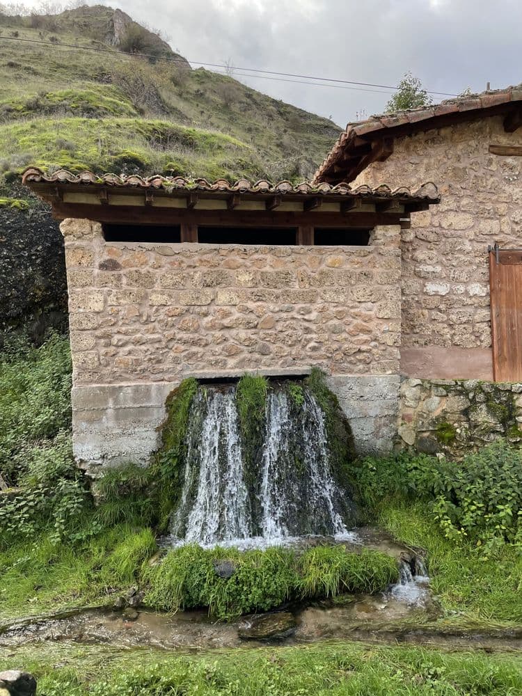 Molino y lavadero