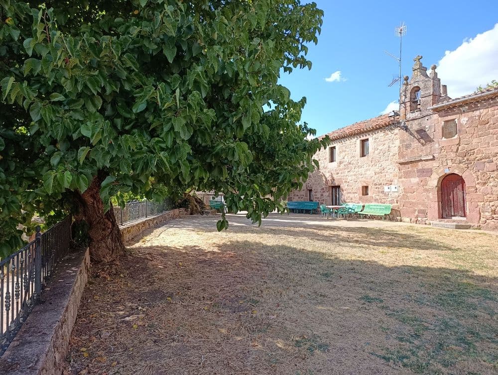 Árboles Morales singulares de Tañabueyes