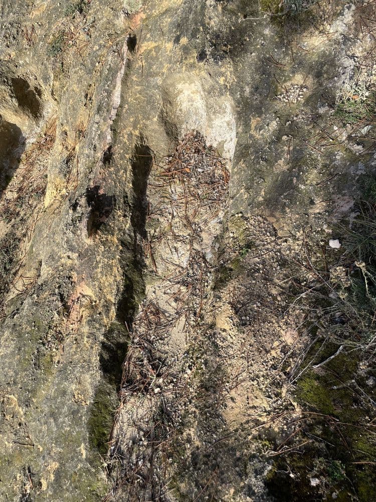 Necrópolis altomedieval de Cillaperlata