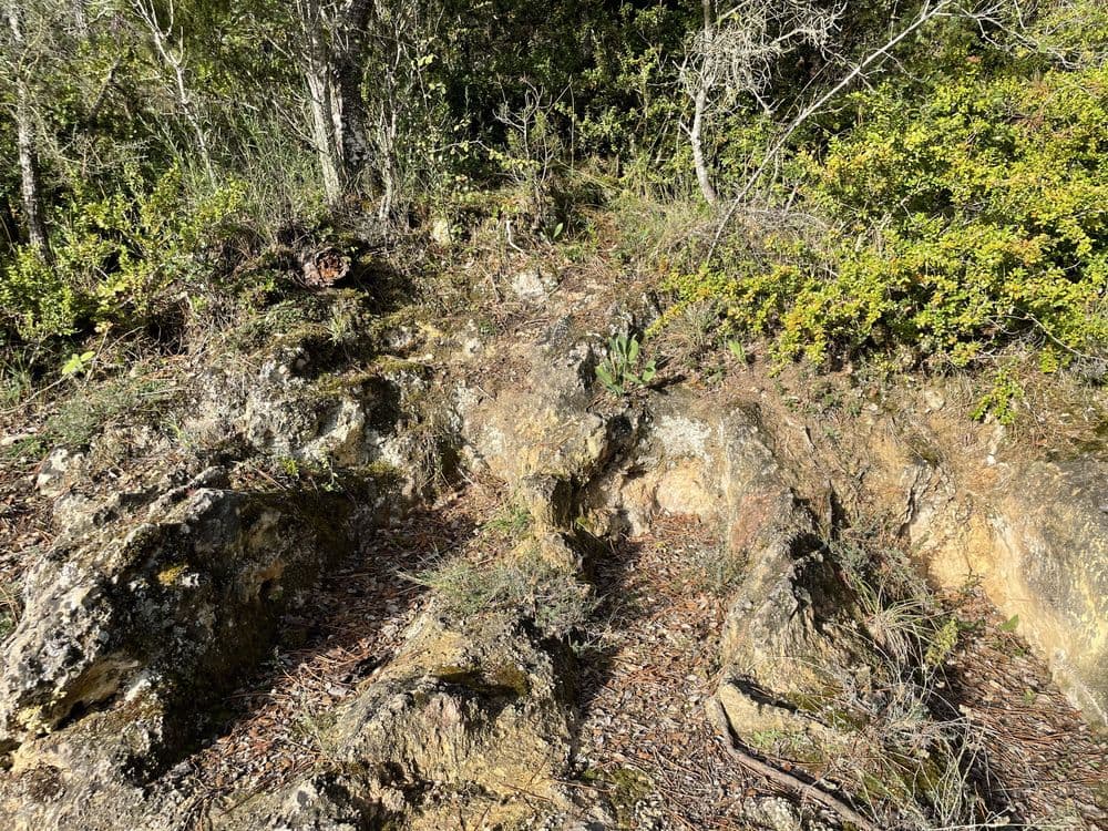 Necrópolis altomedieval de Cillaperlata