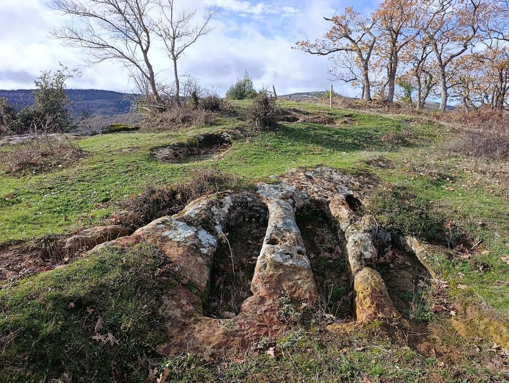 Necrópolis antropomorfa de Munilla