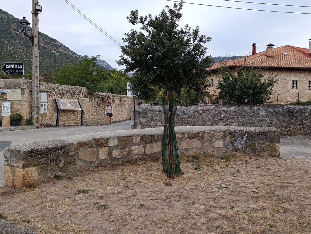 La Nueva Olma de Pesquera de Ebro
