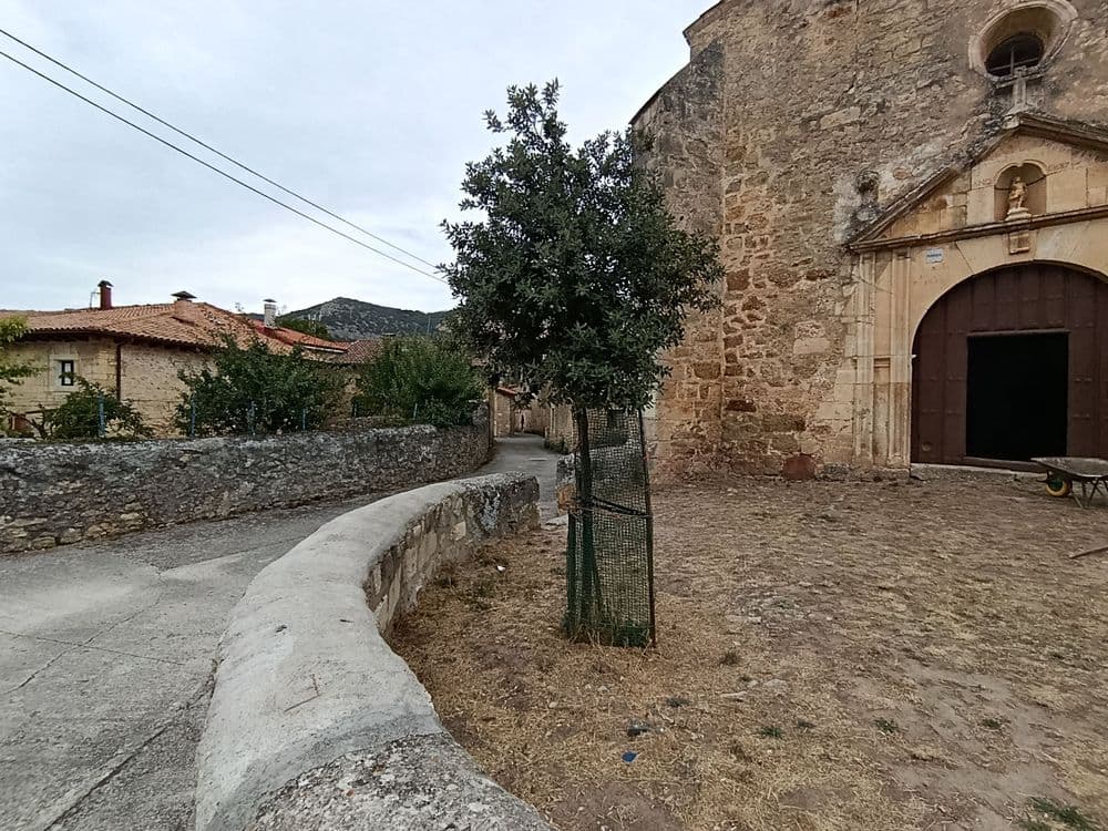 La Nueva Olma de Pesquera de Ebro