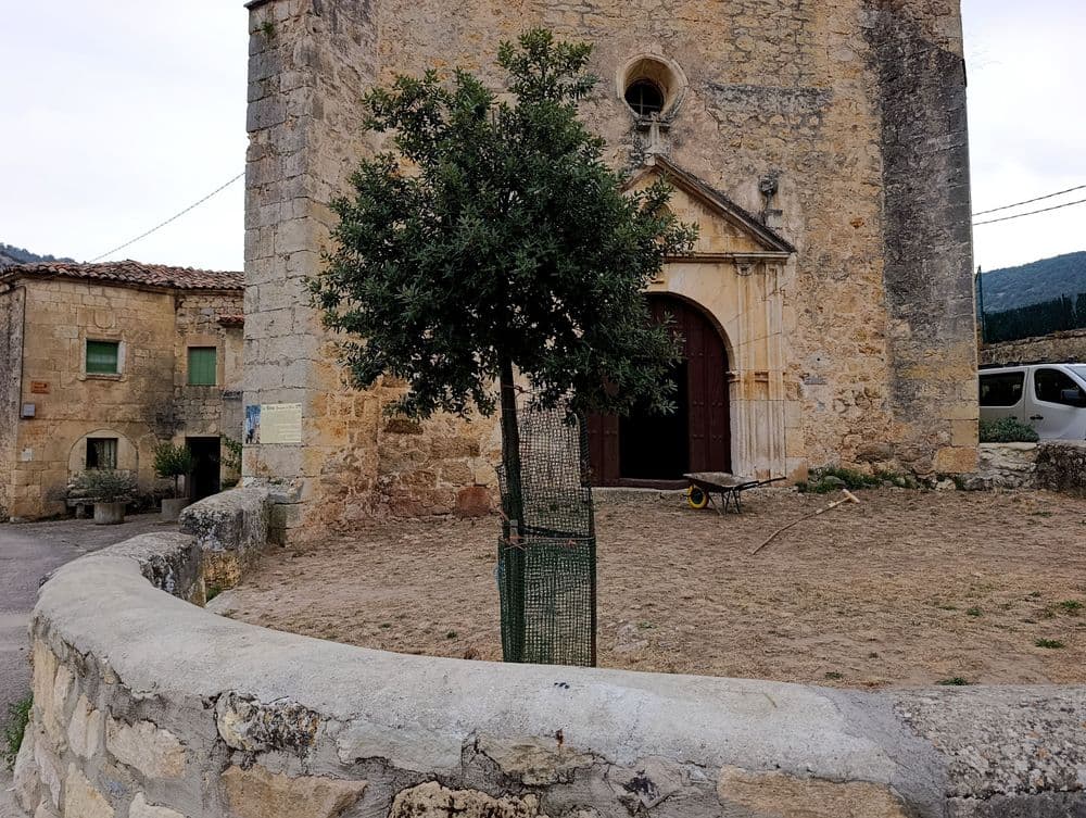 La Nueva Olma de Pesquera de Ebro