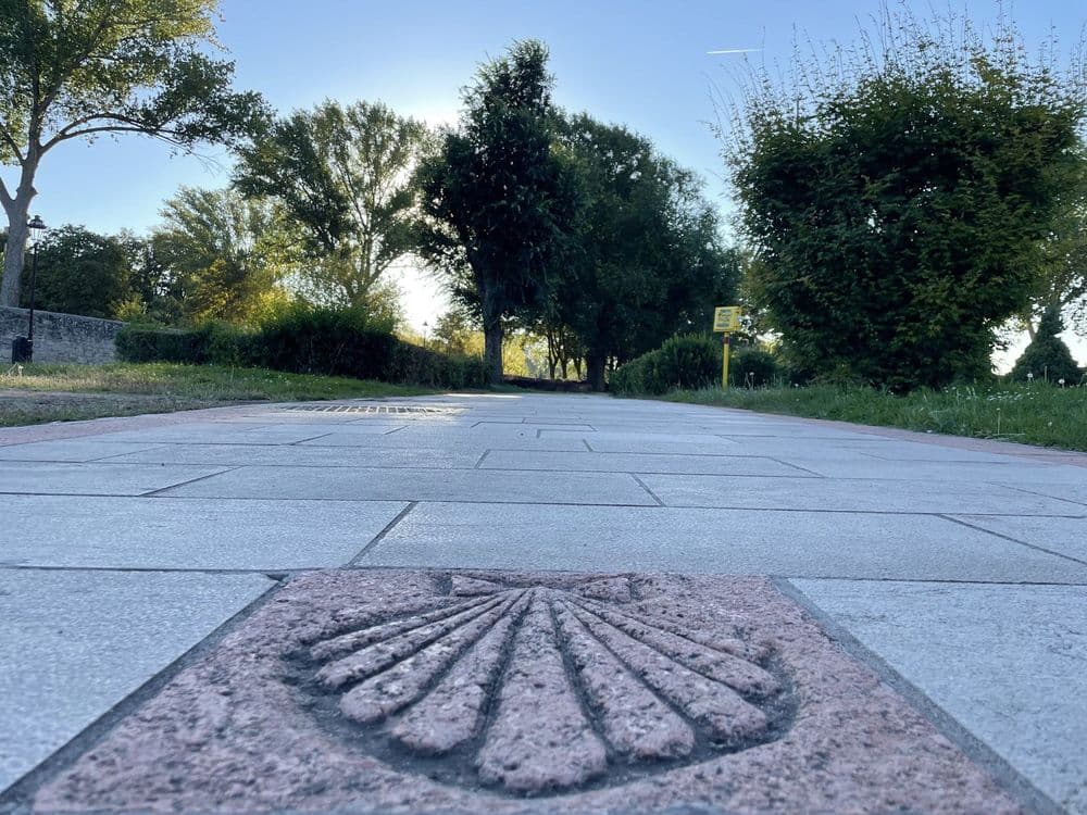 Paseo de la Universidad