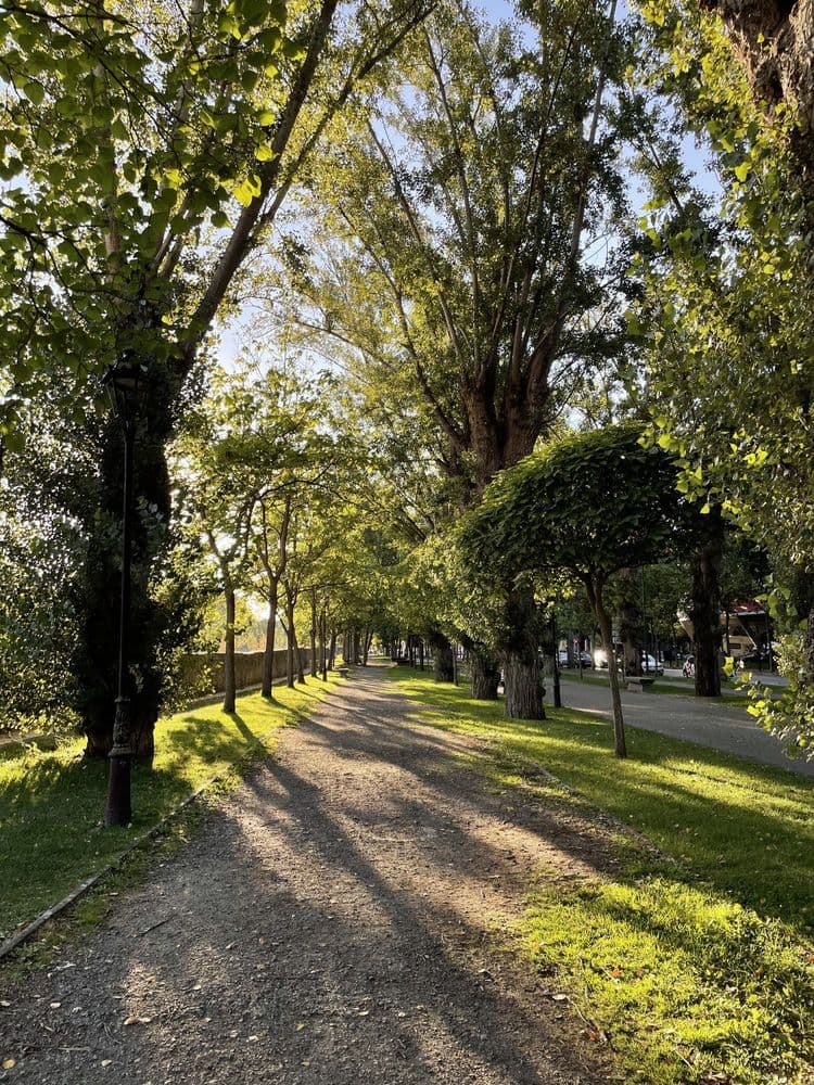 Paseo de la Universidad