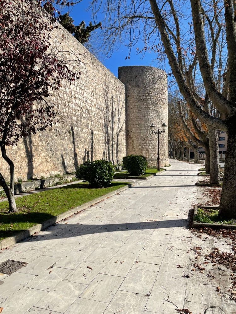 Paseo de los Cubos