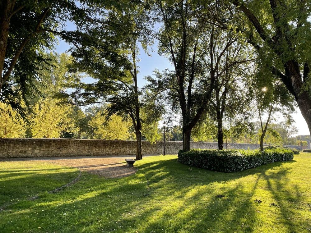 Paseo de la Universidad