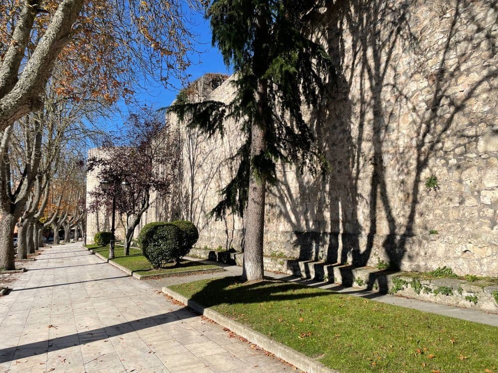 Paseo de los Cubos
