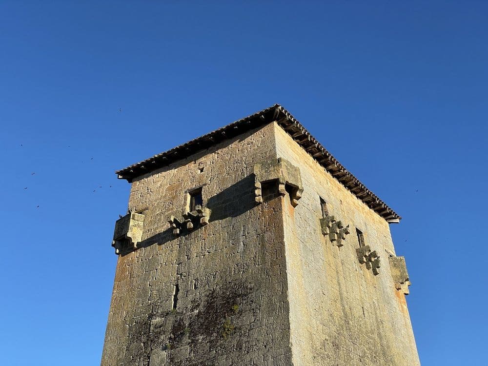 Torreón de Fernán González