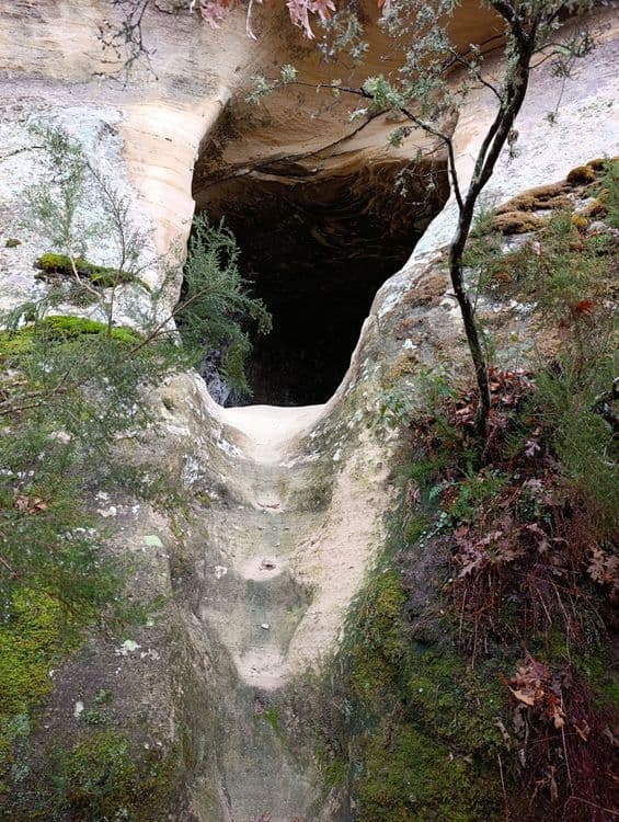 Galeria