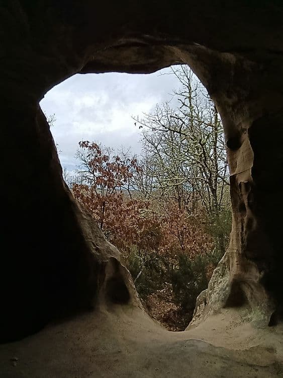 Galeria