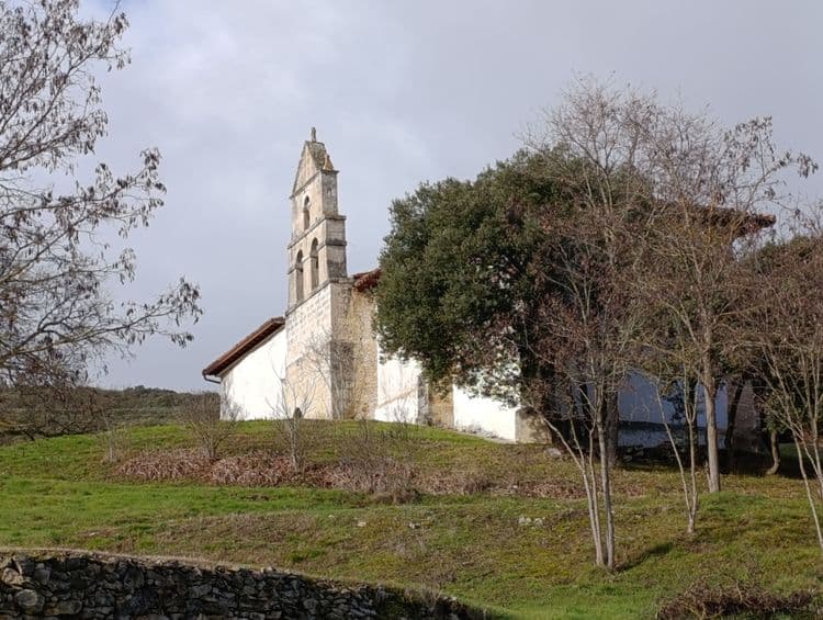 Galeria