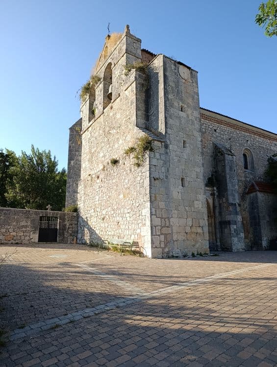 Galeria
