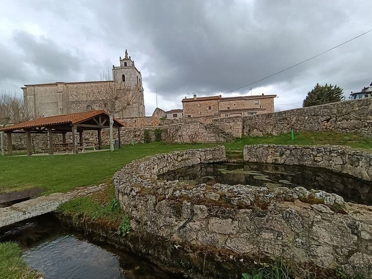 Galeria