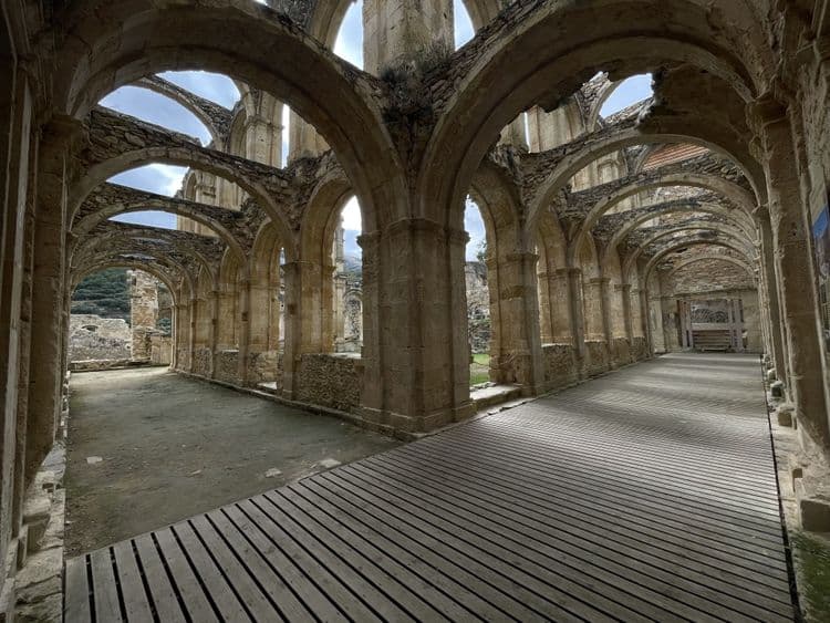 Galeria