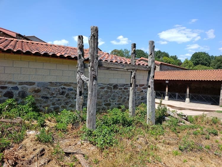 Galeria