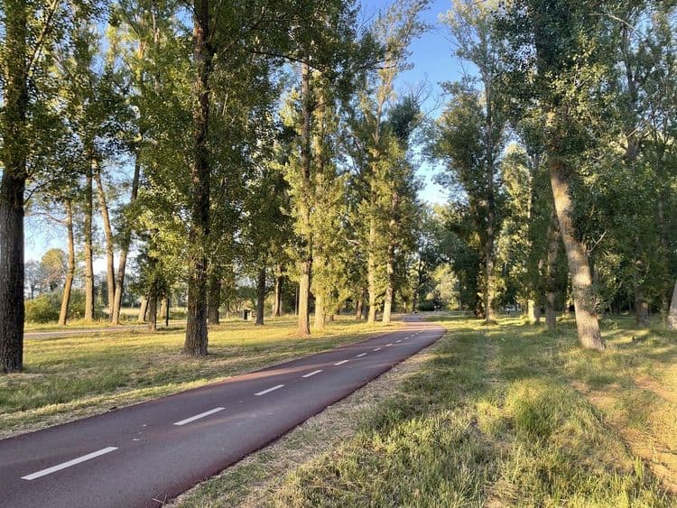 Parques y paseos de Burgos